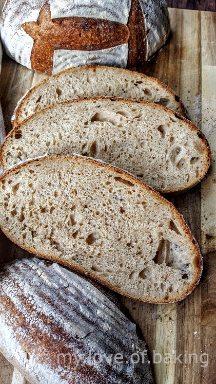 whole wheat sourdough