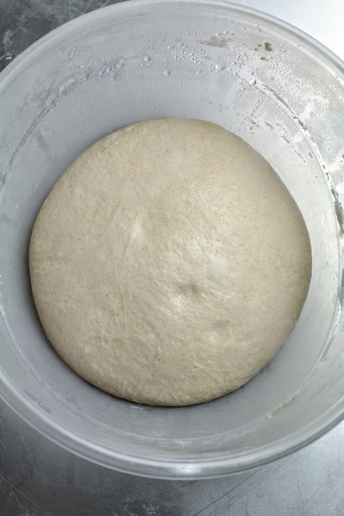 retarded dough