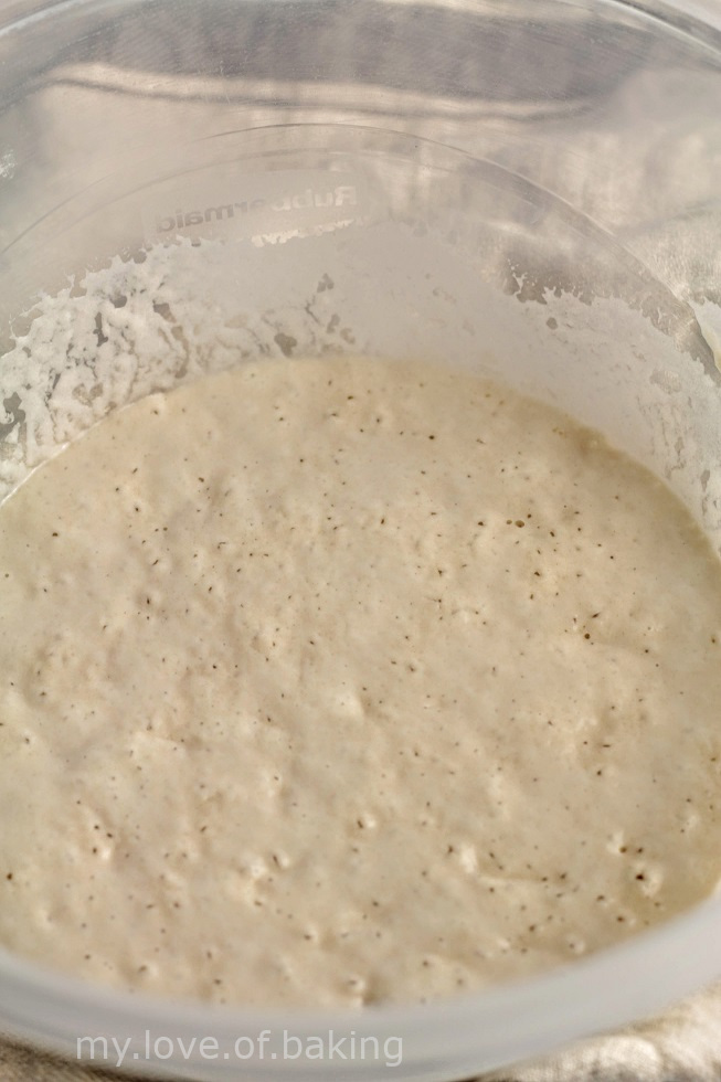 beer barm
