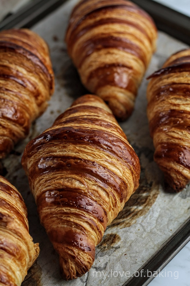 sourdough croissants