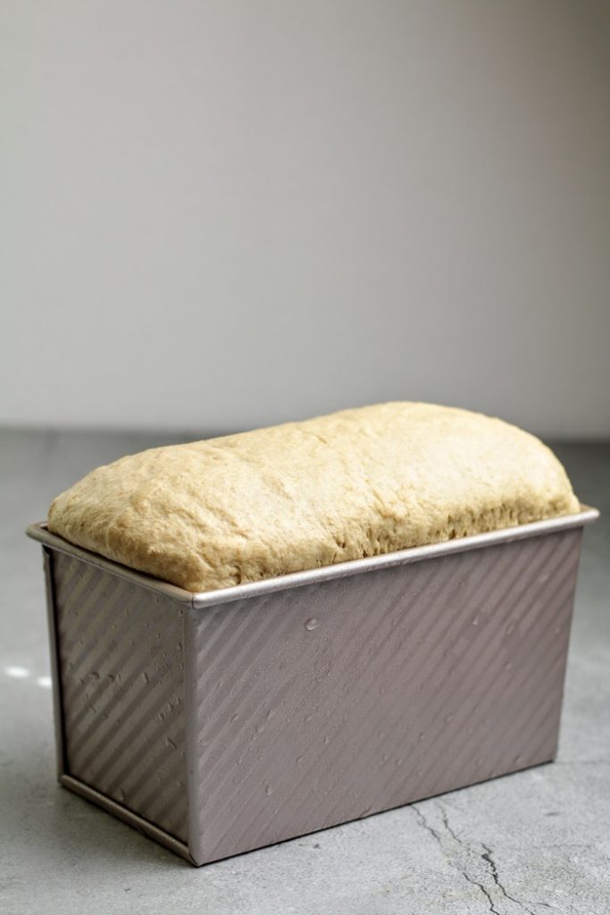 proofed loaf