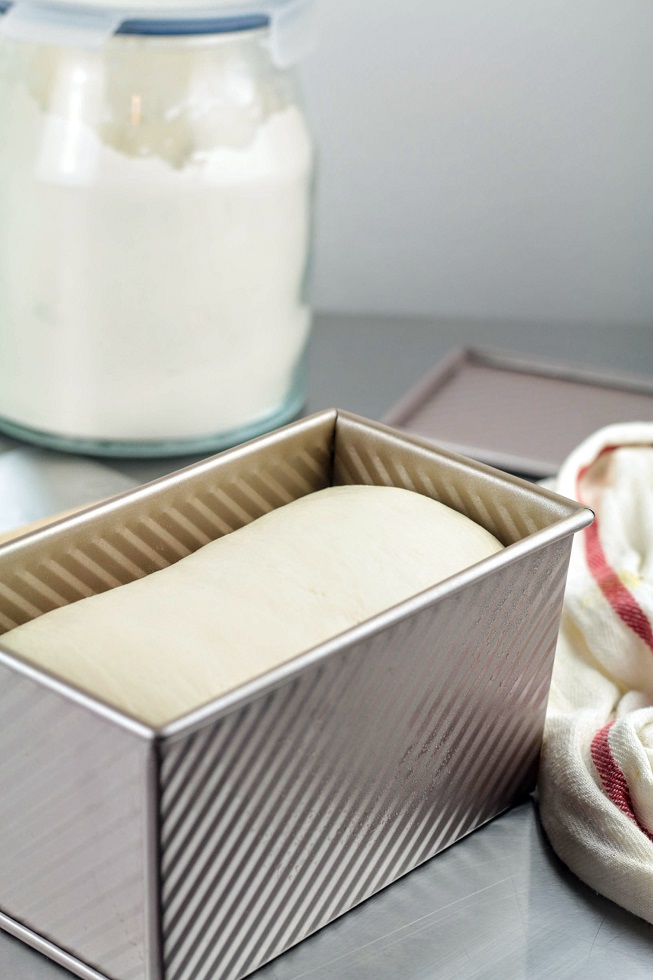 proofed dough