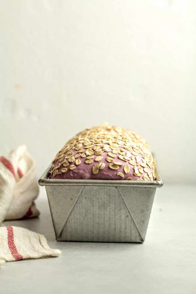 proofed dough