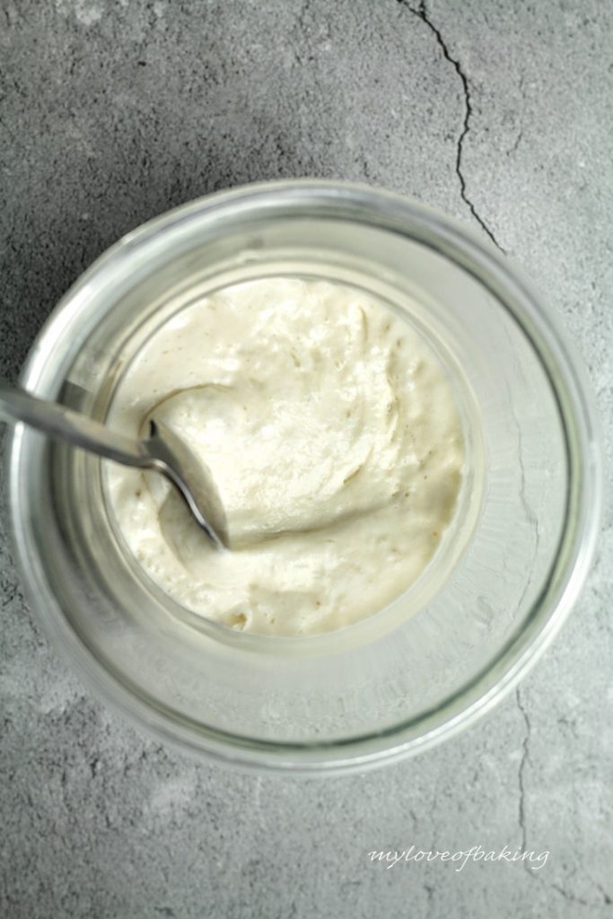 sourdough starter