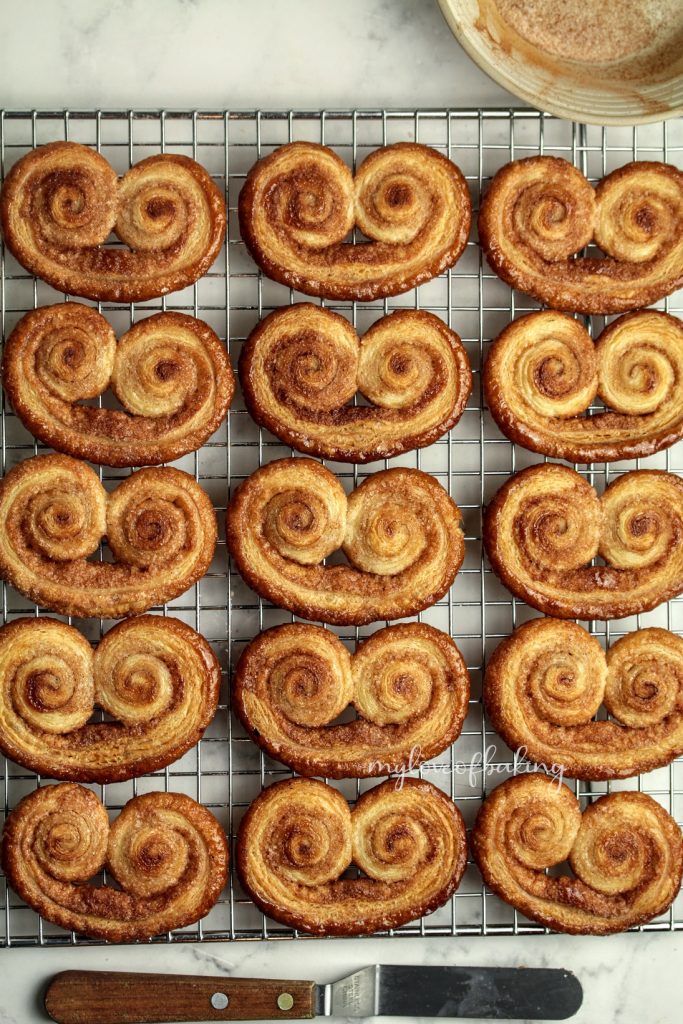 palmiers