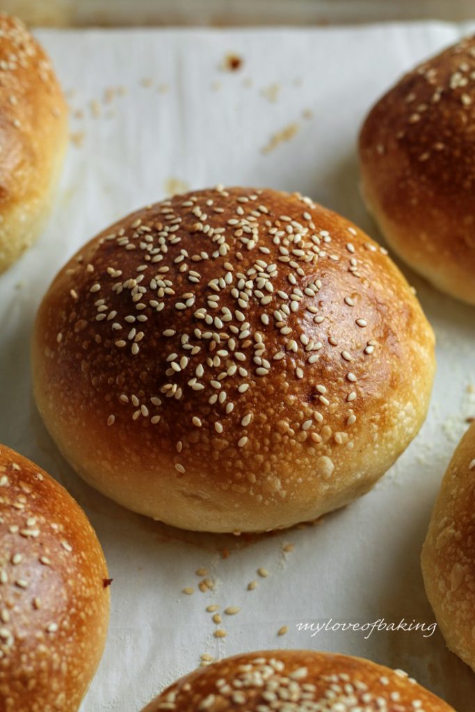 sourdough potato buns