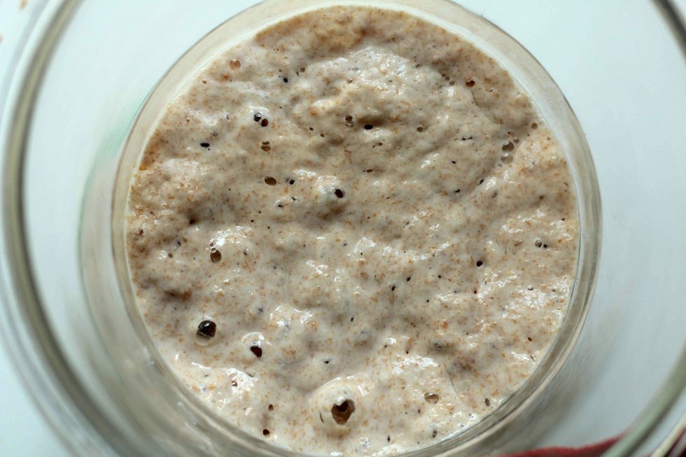 Bubbly starter