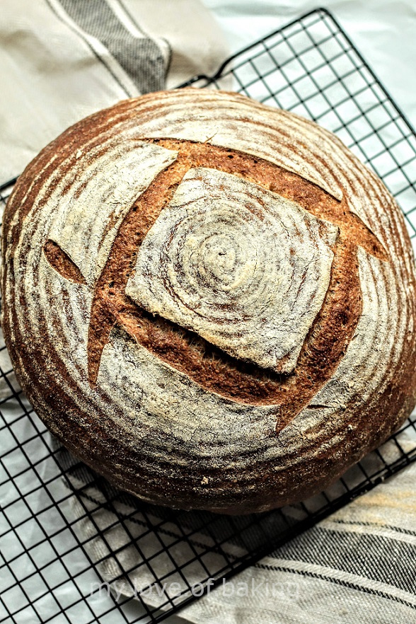 whole wheat sourdough