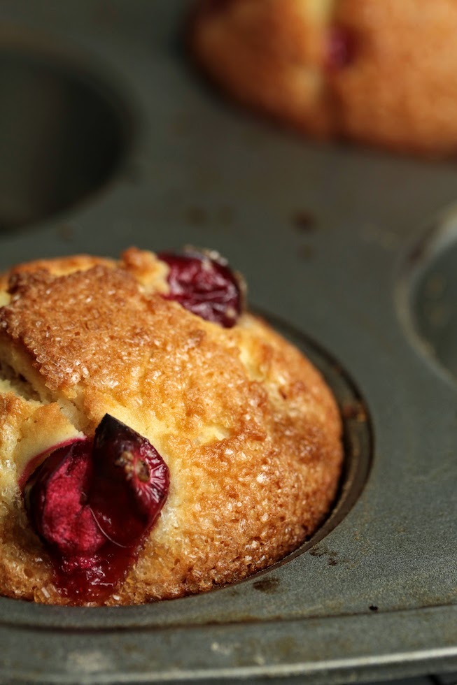 baked muffin