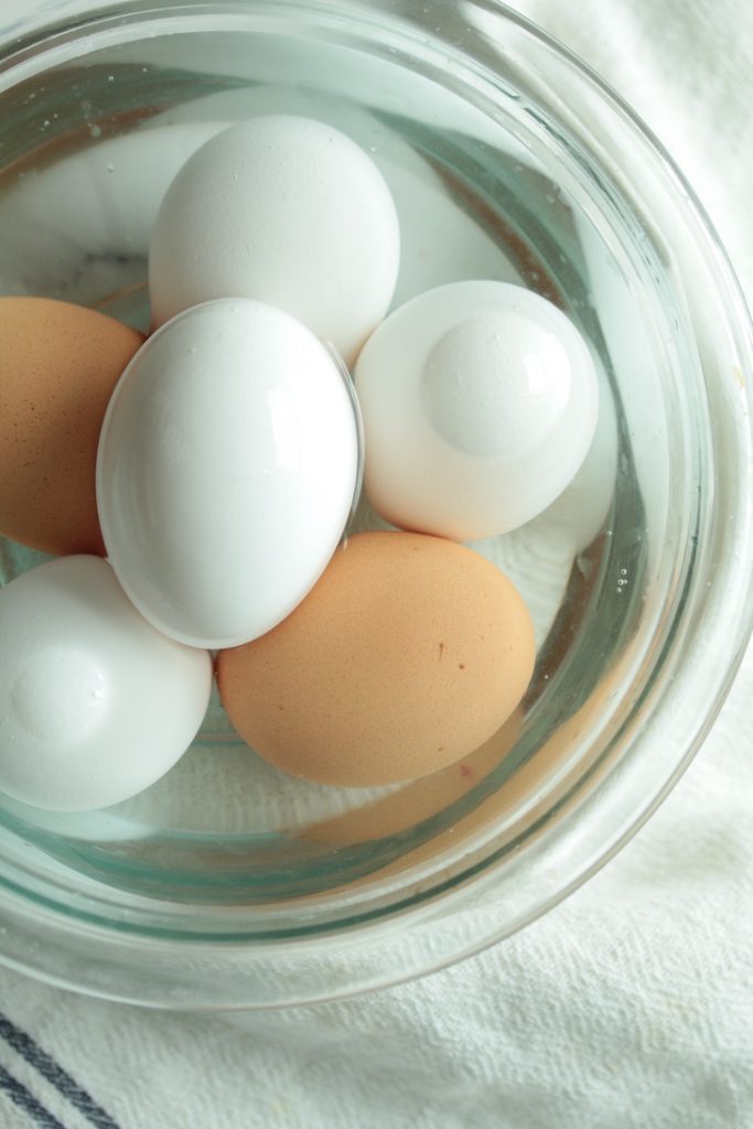 eggs