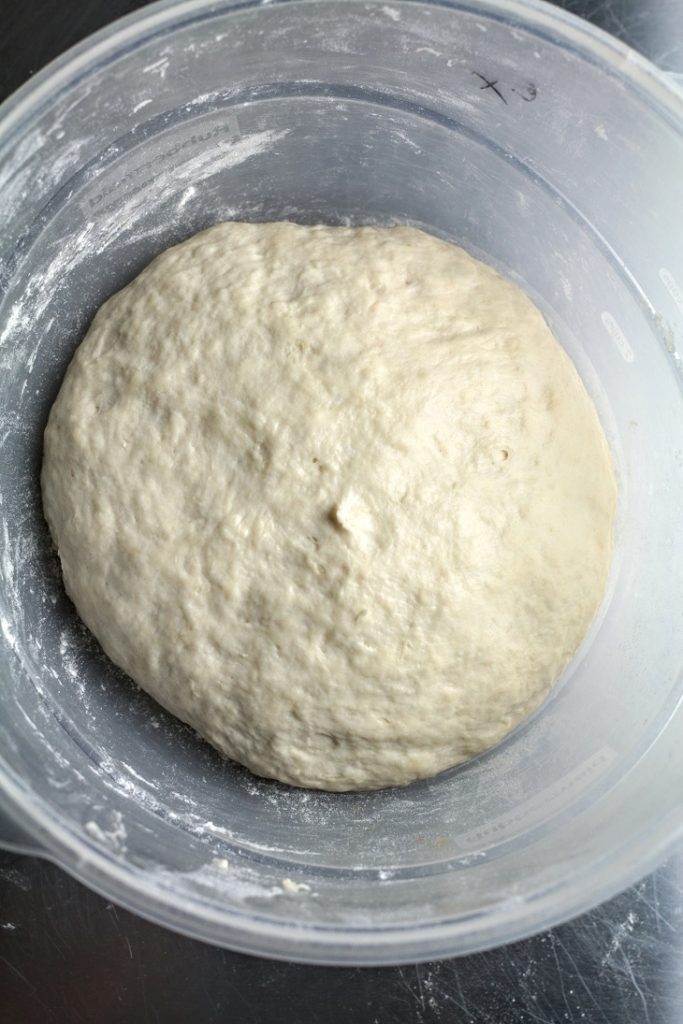 fermented dough