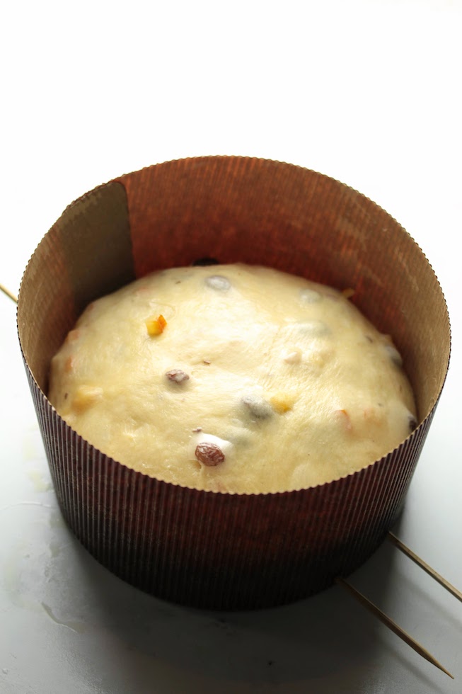 place the dough in the mold