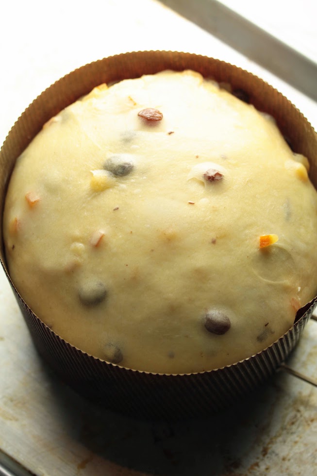 proofed dough