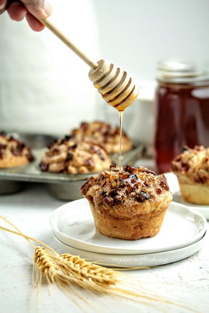 apple pulp muffin