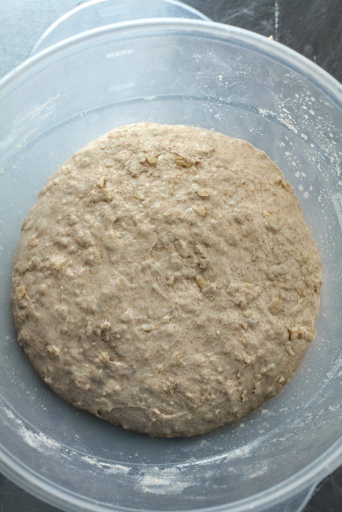 dough