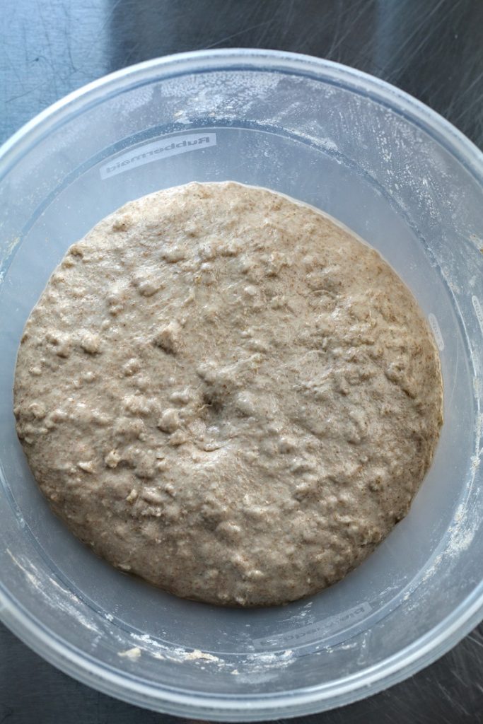 dough