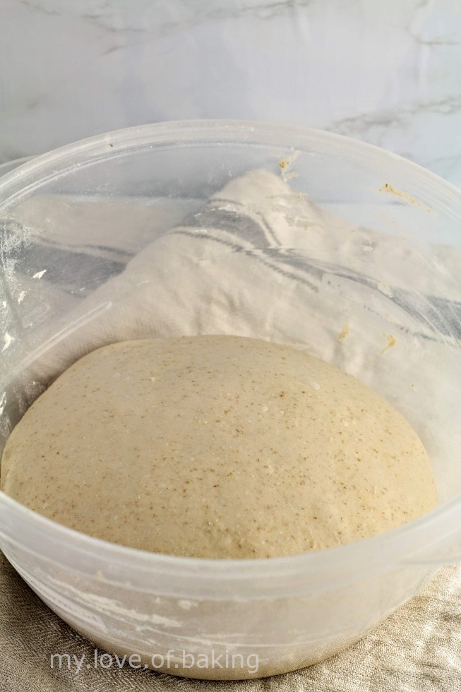 dough