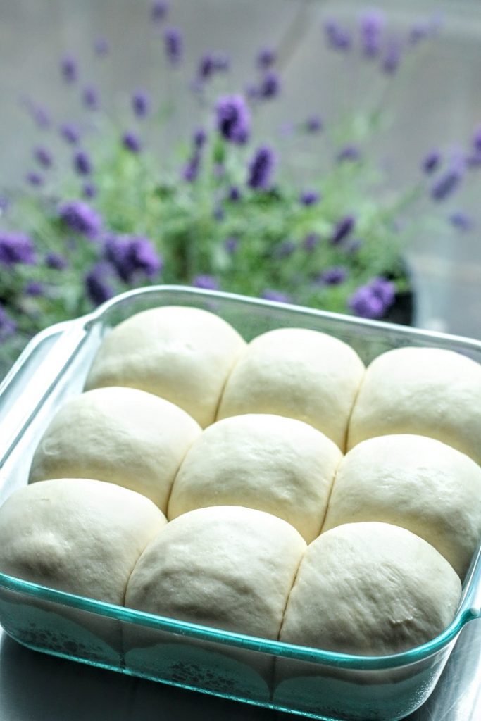 proofed rolls