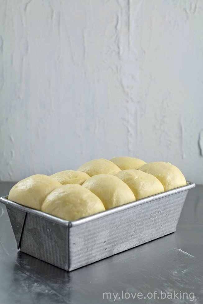 proofed dough