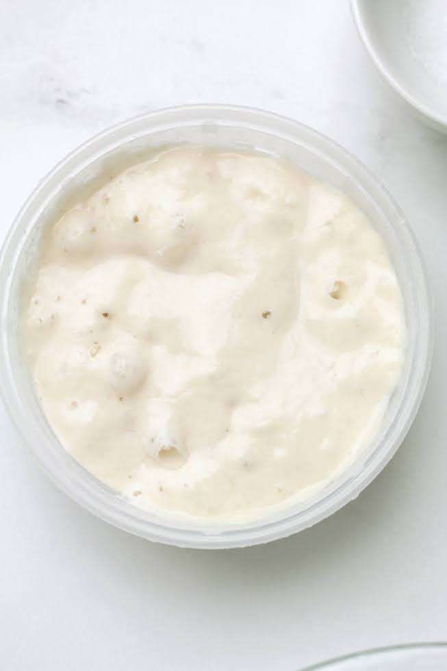sourdough starter/levain