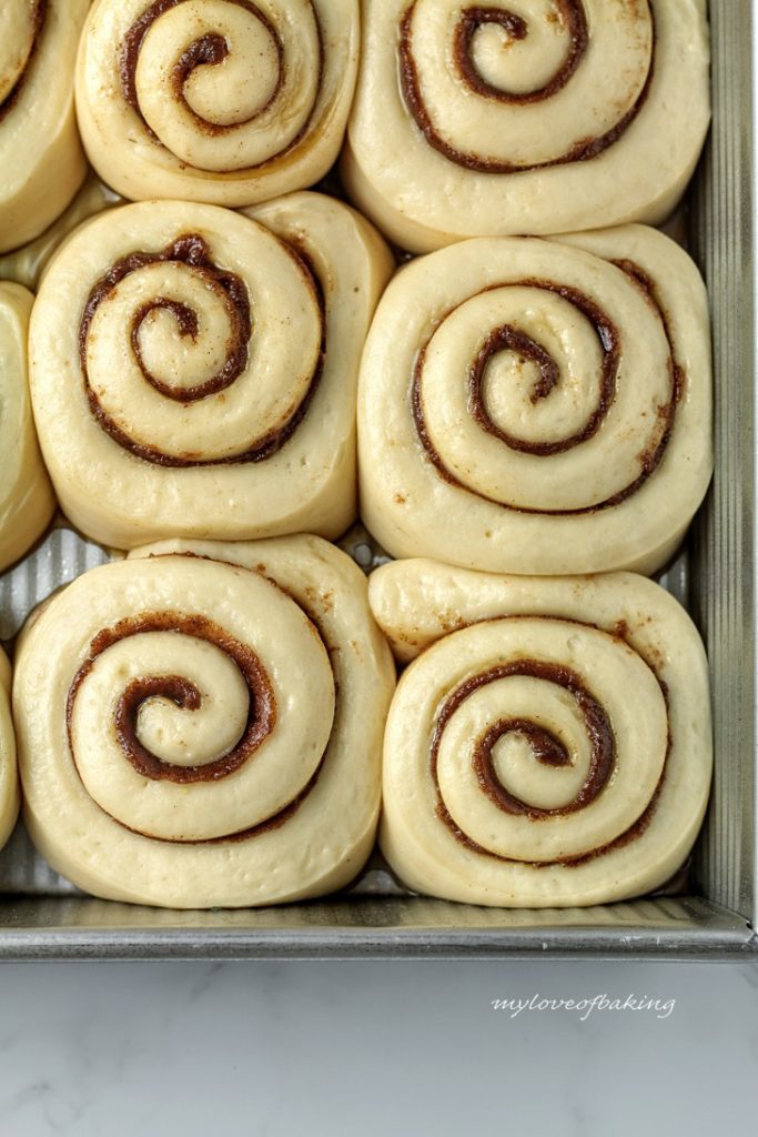 proofed rolls