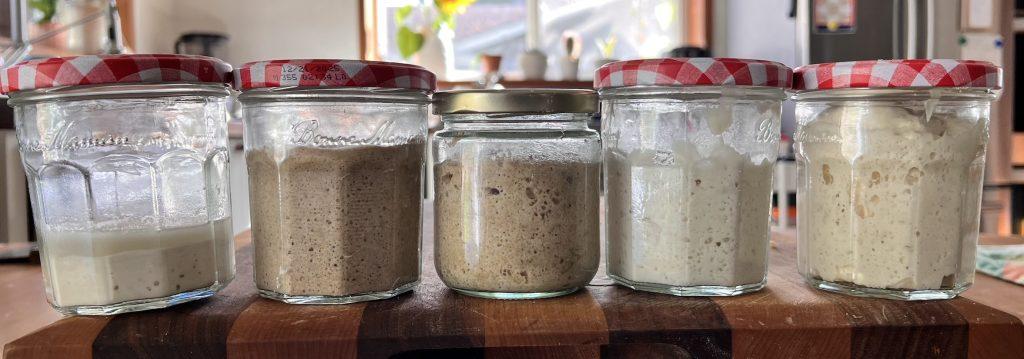 starters